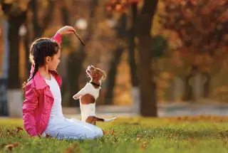 Pet Park at Ajmera Manhattan